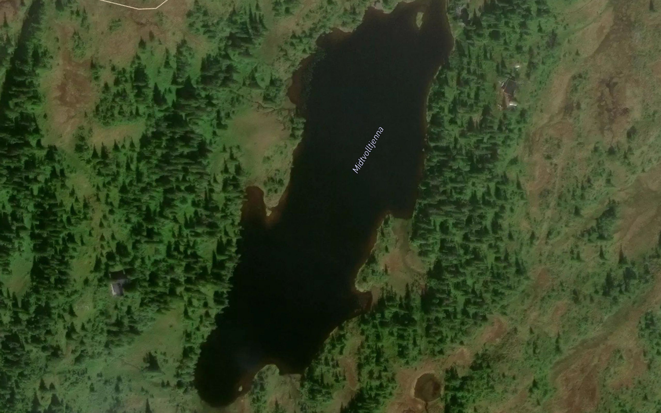 Midtvolltjornin