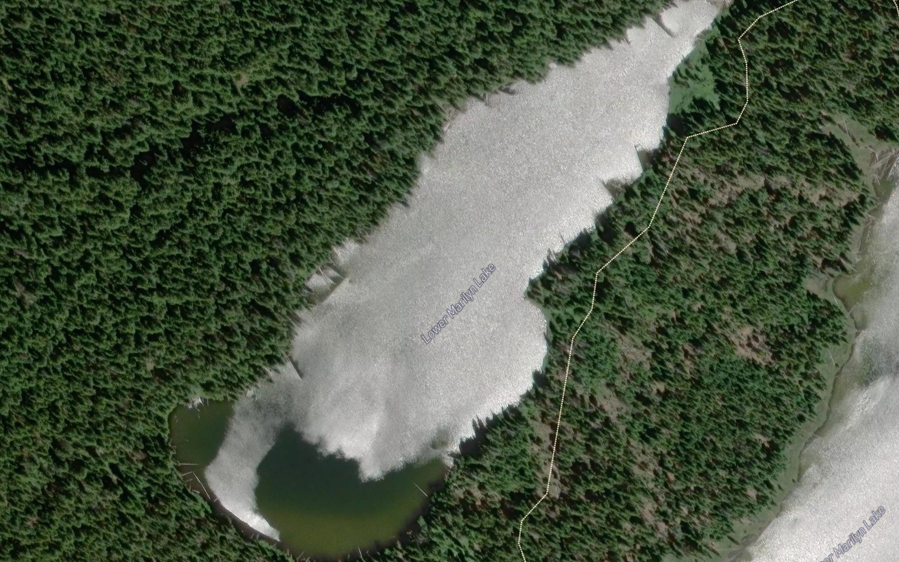 Satellite map of the Lower Marilyn Lake