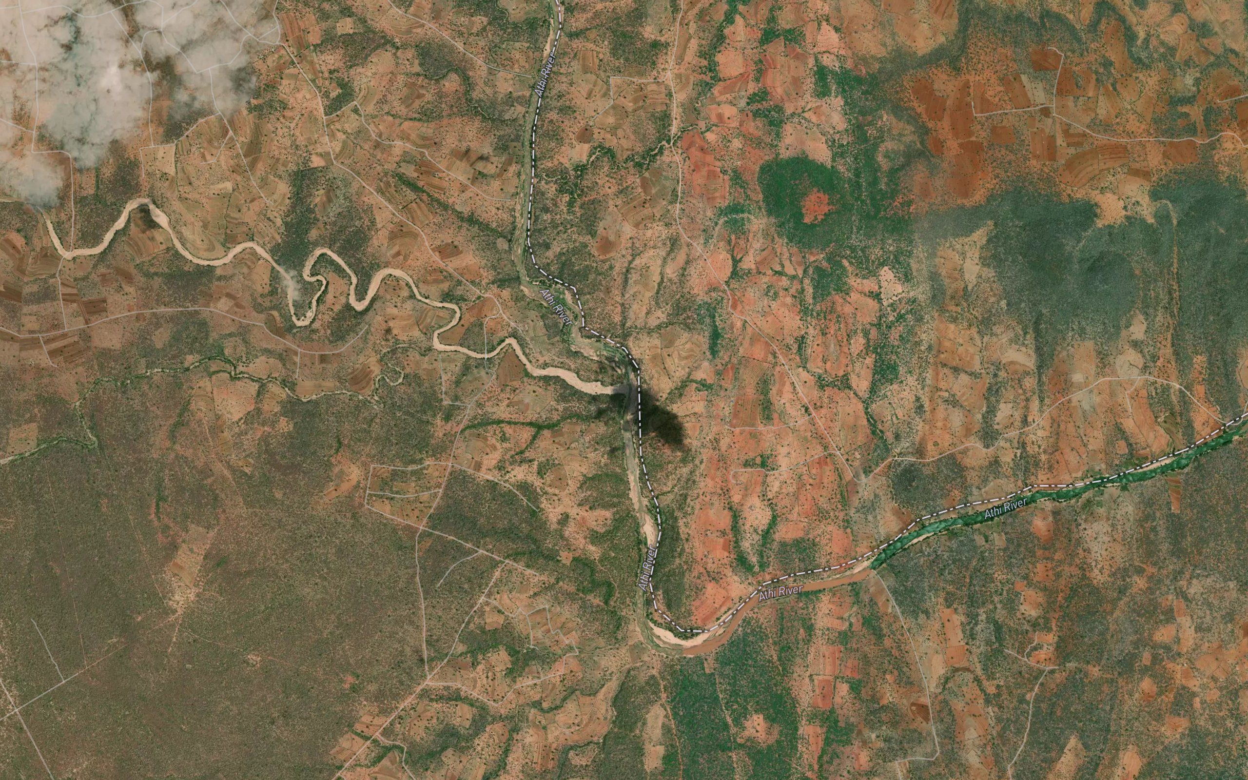 Kikuuni