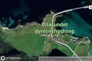 Ullaelva