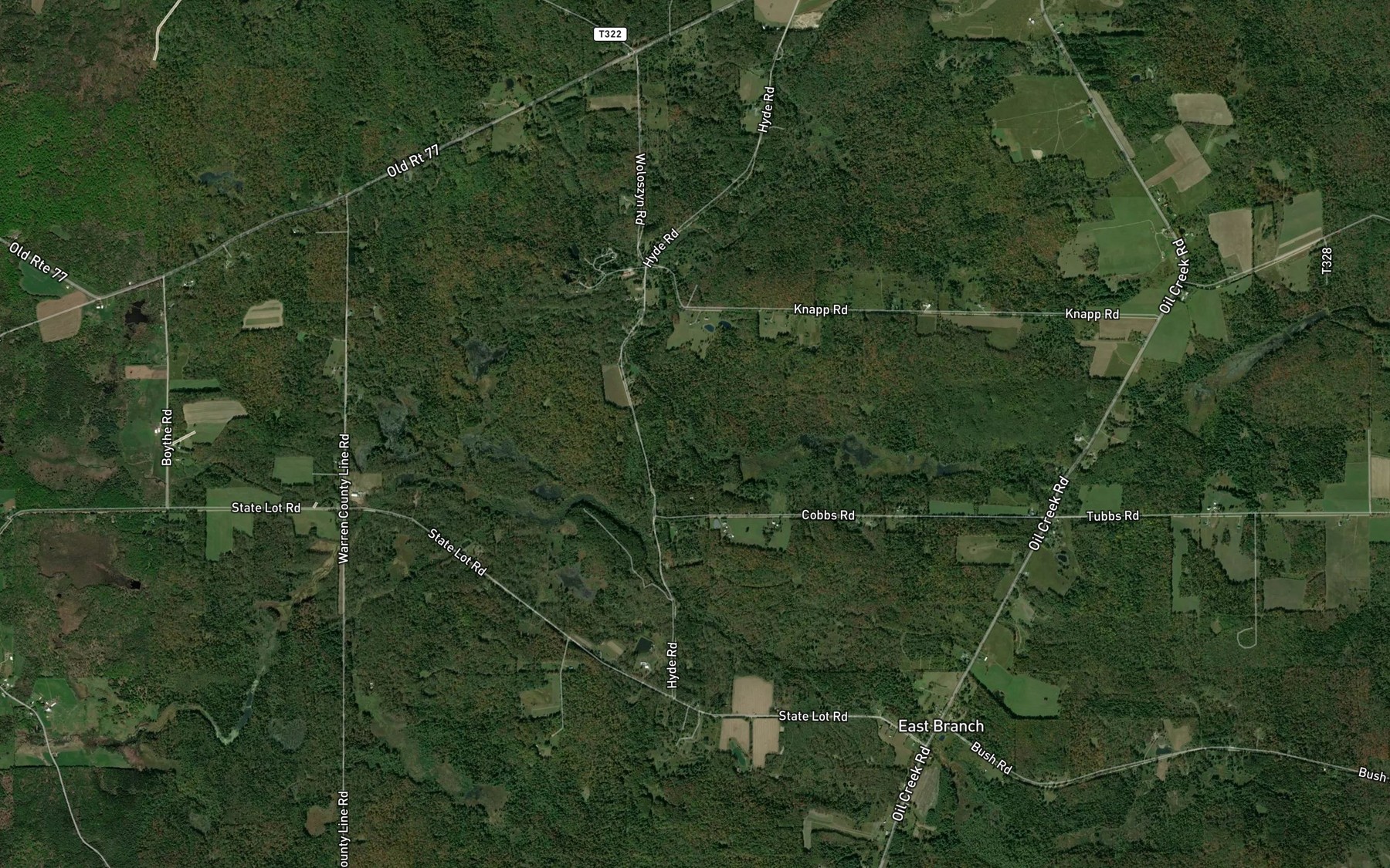 Satellite map of the Cobbs Run
