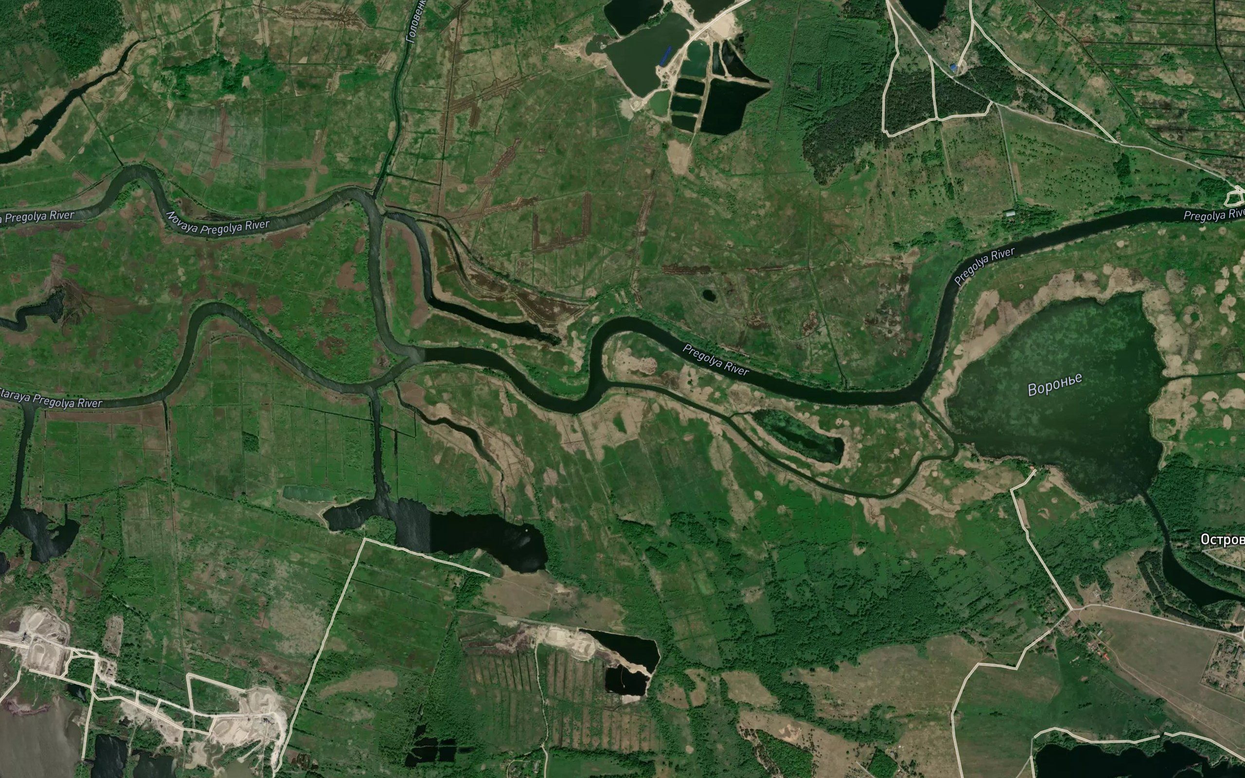 Svetlaya