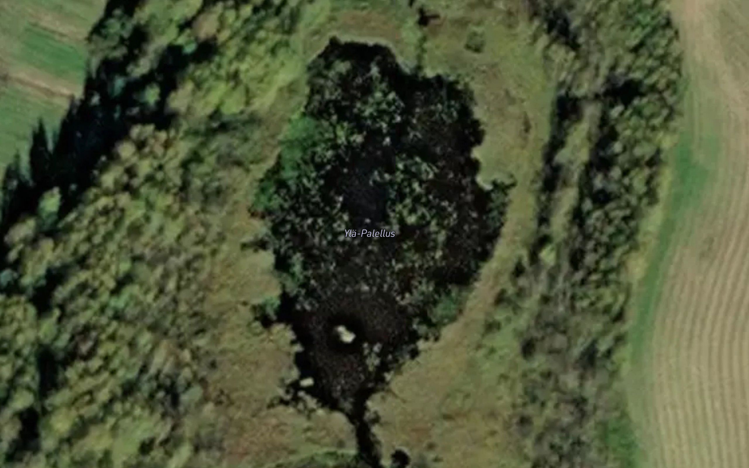 Yla-Palellus