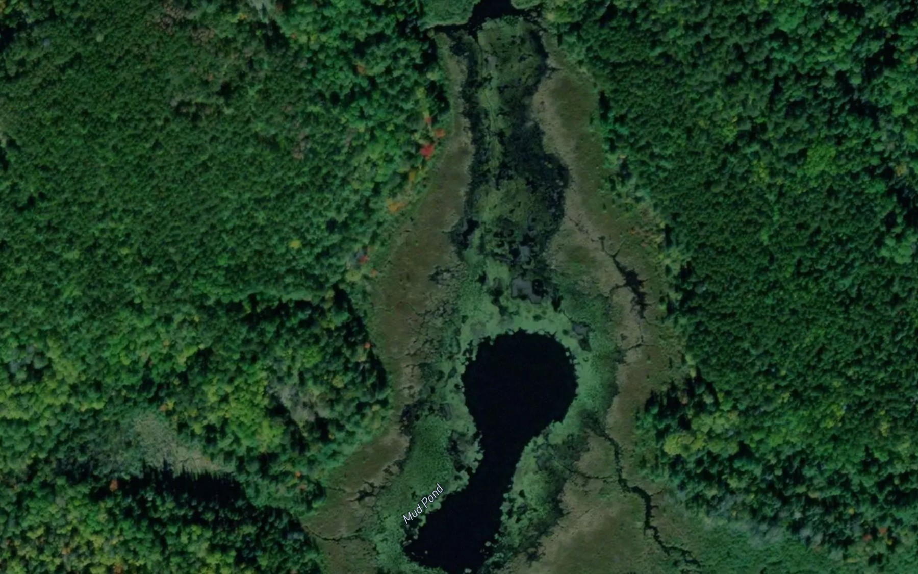 Satellite map of the Mud Pond