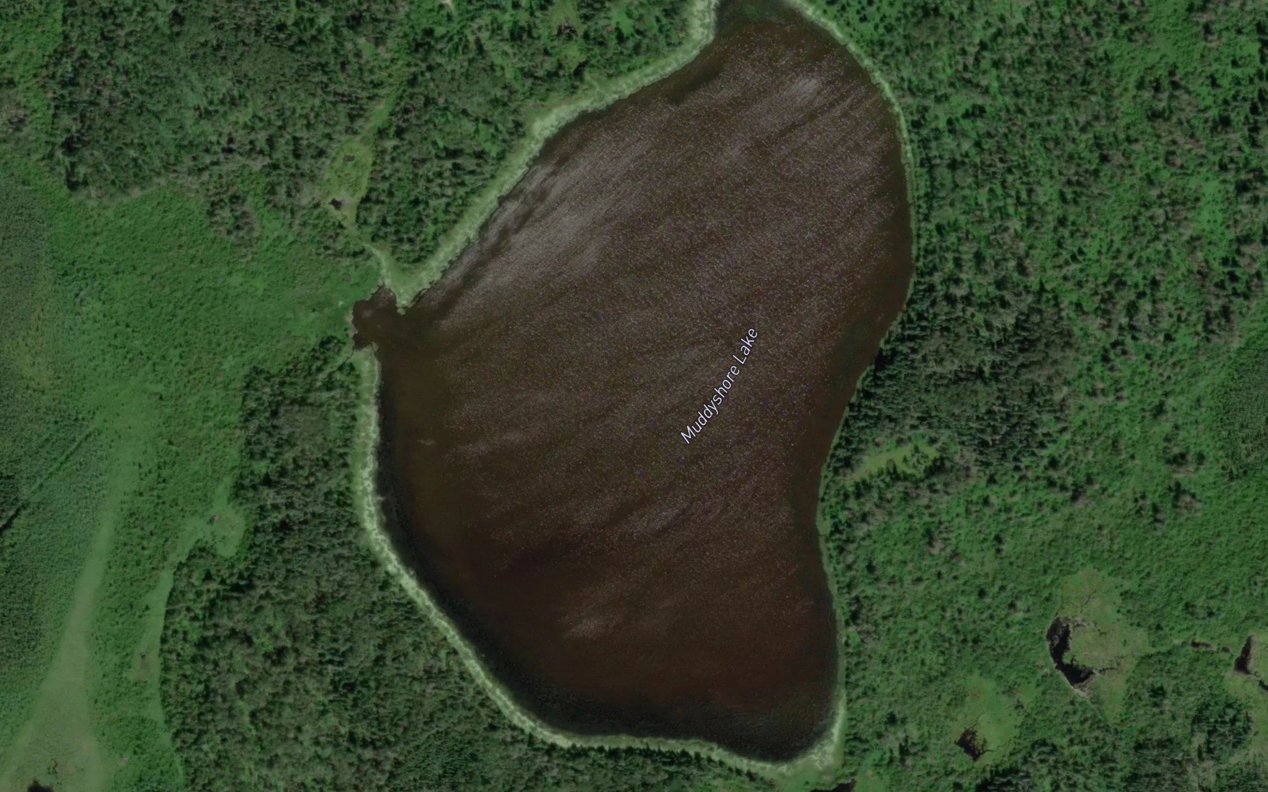 Muddyshore Lake