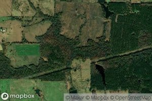 Dixie Branch