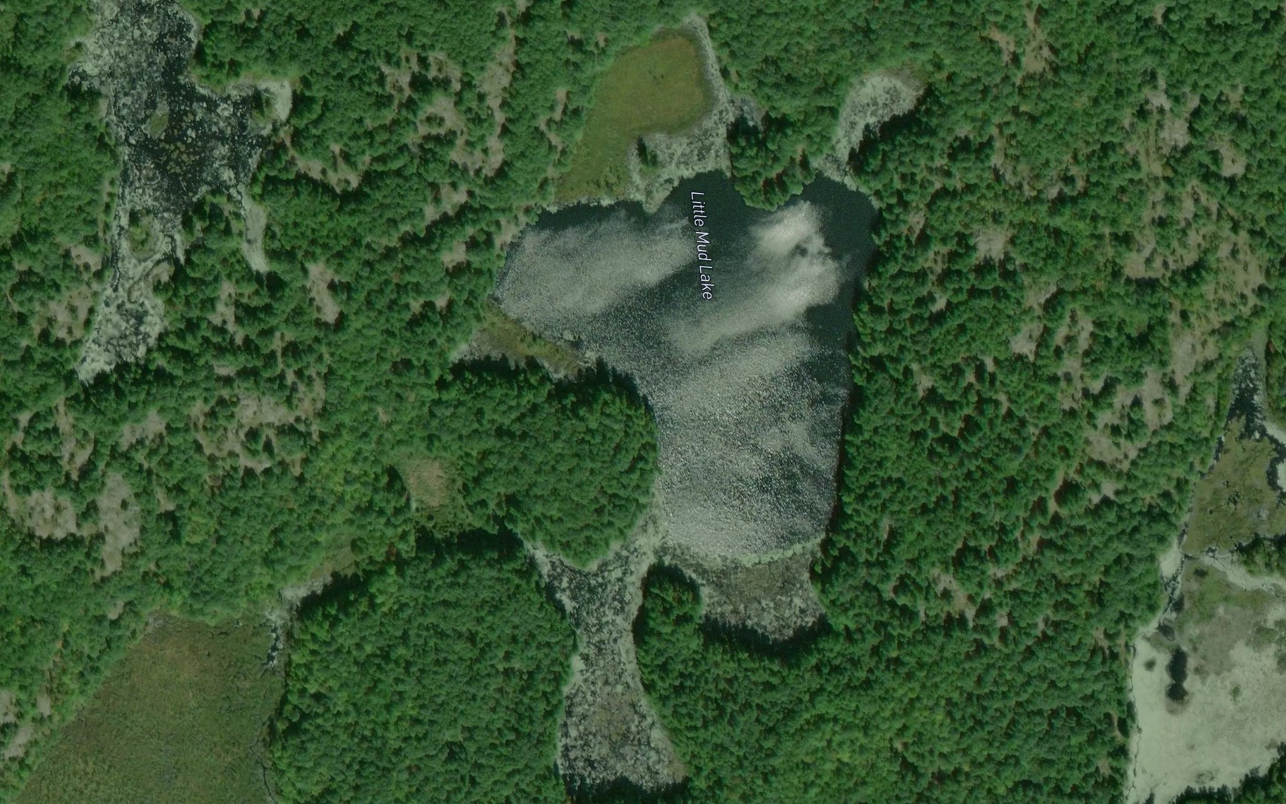 Satellite map of the Little Mud Lake