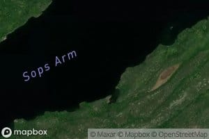 Sops Arm