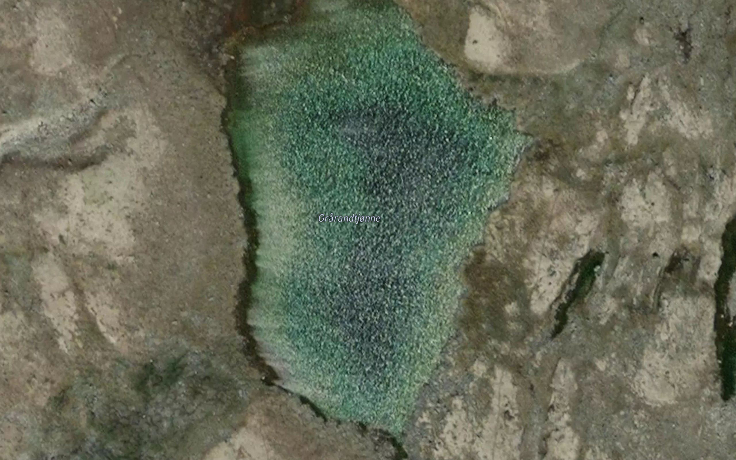 Grarandtjorni