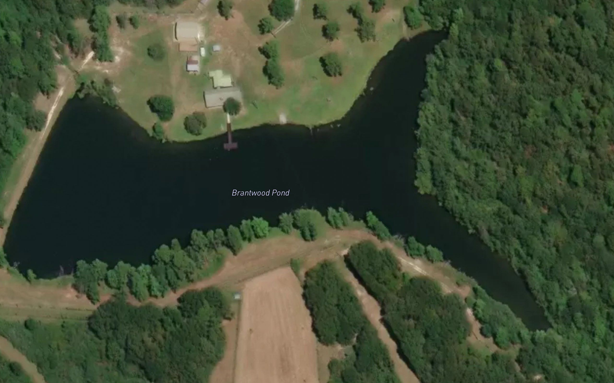 Brantwood Pond