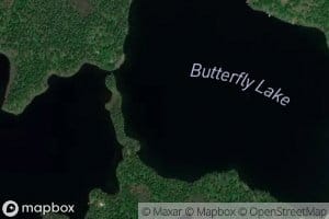 Butterfly Lake