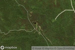 Jenny Coolidge Brook