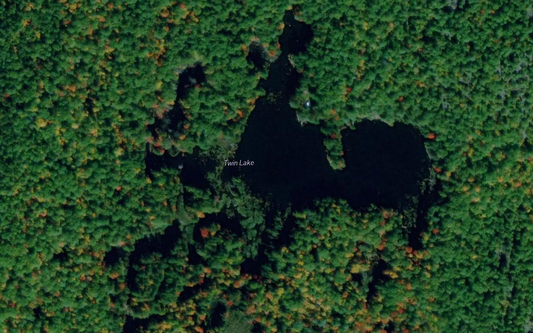 Satellite map of the Twin Lake