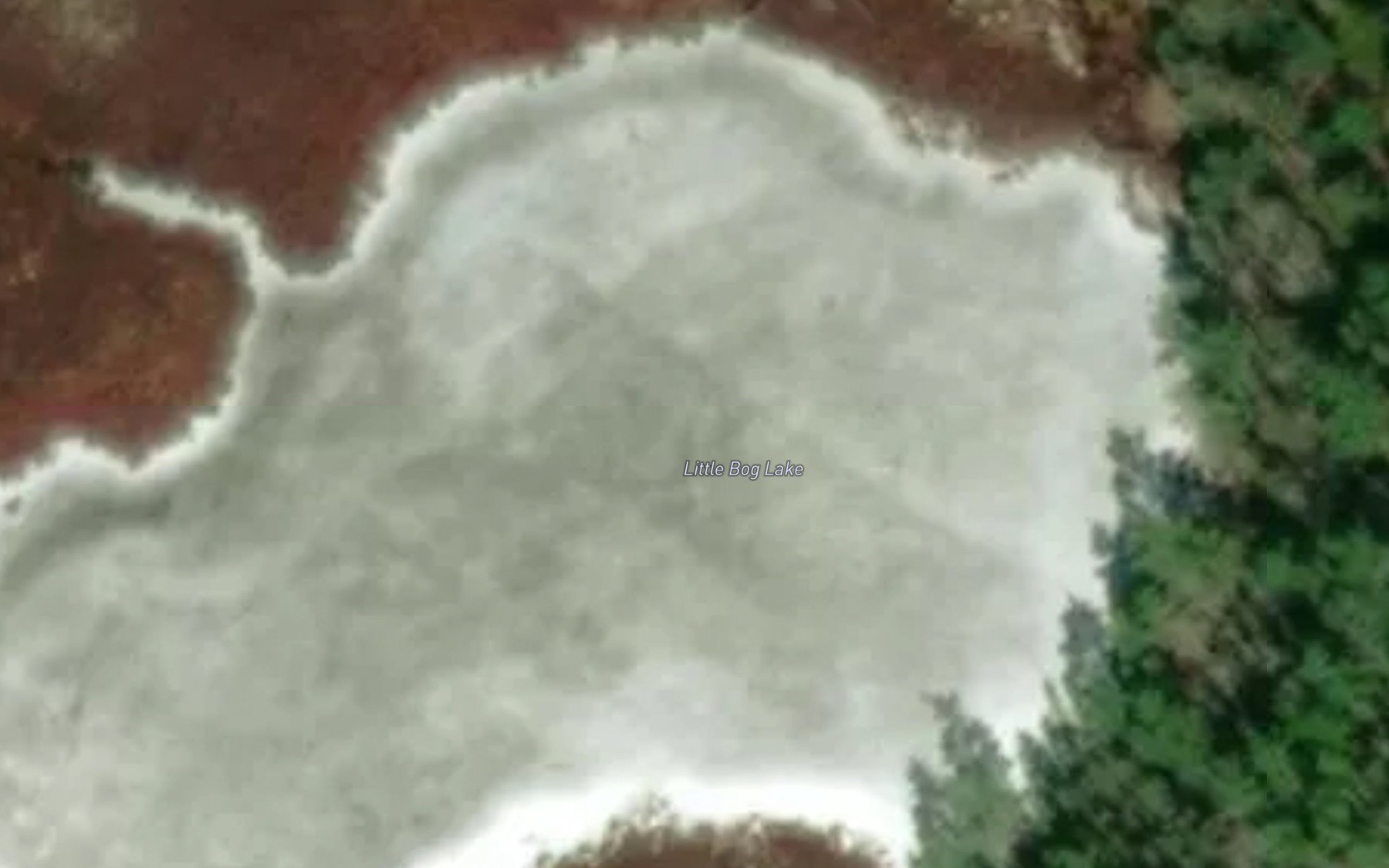 Satellite map of the Little Bog Lake