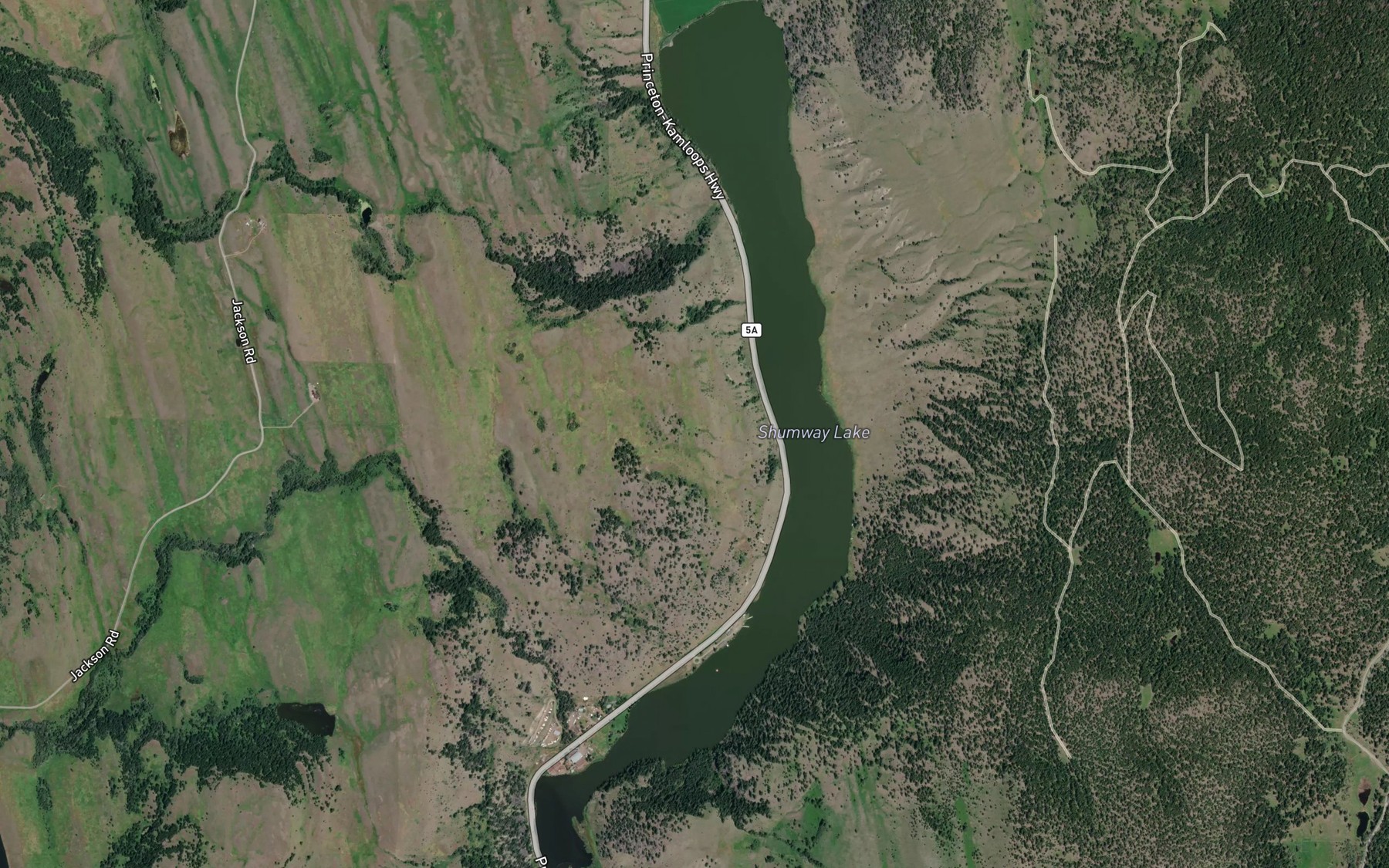 Satellite map of the Shumway Lake