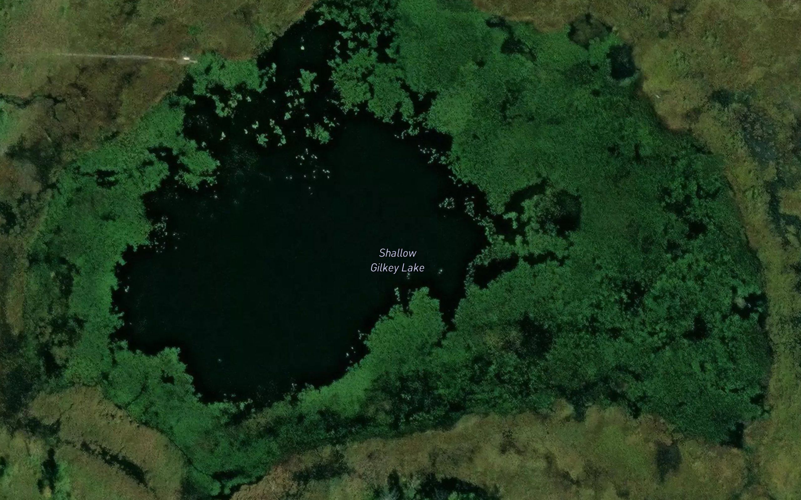 Shallow Gilkey Lake
