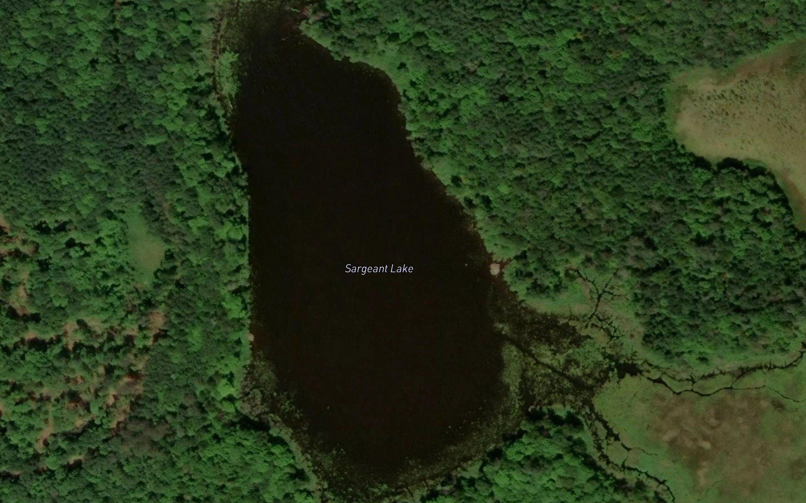 Sargeant Lake