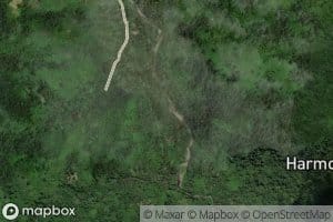 Butakio Totanggelodidi