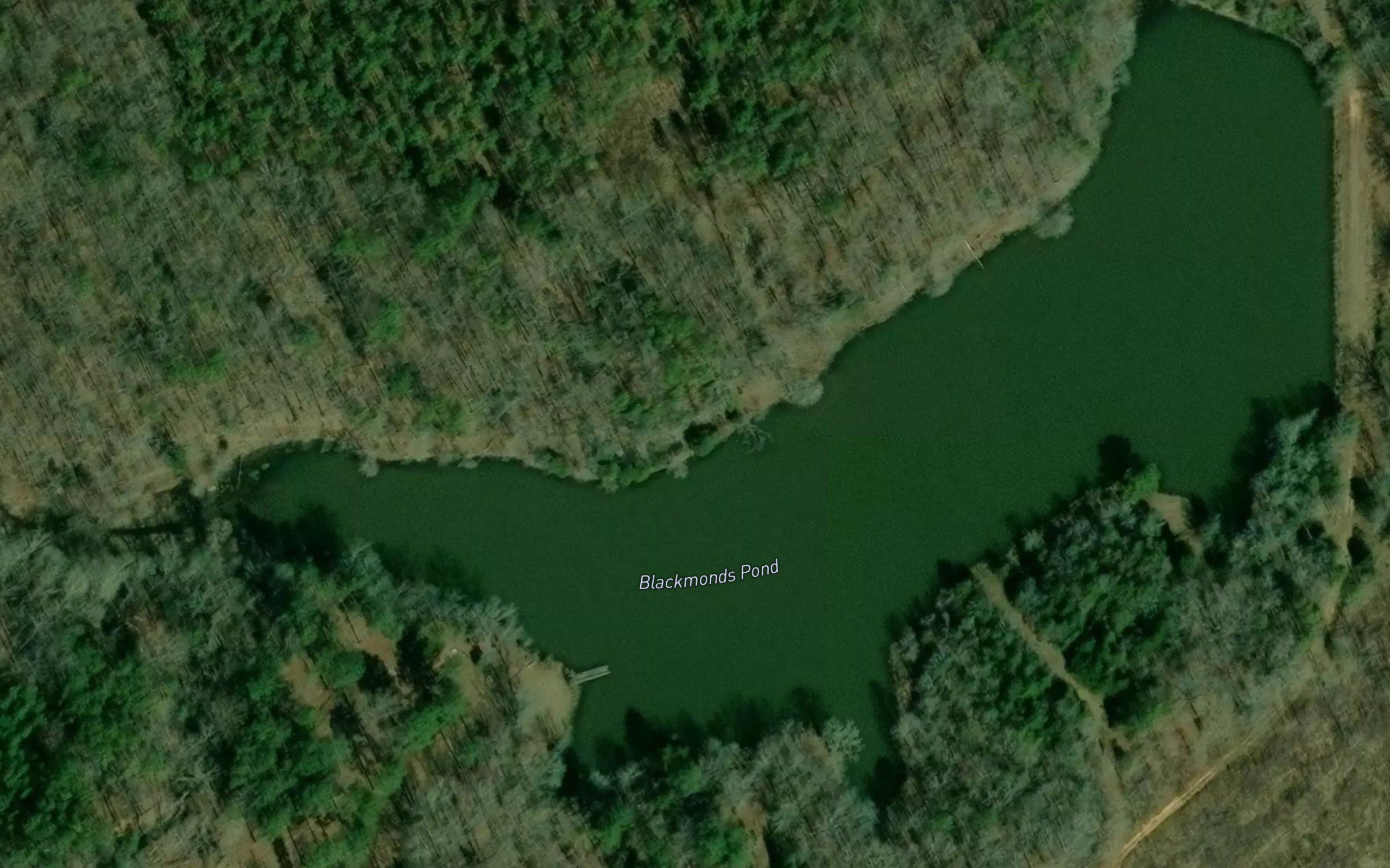 Blackmonds Pond