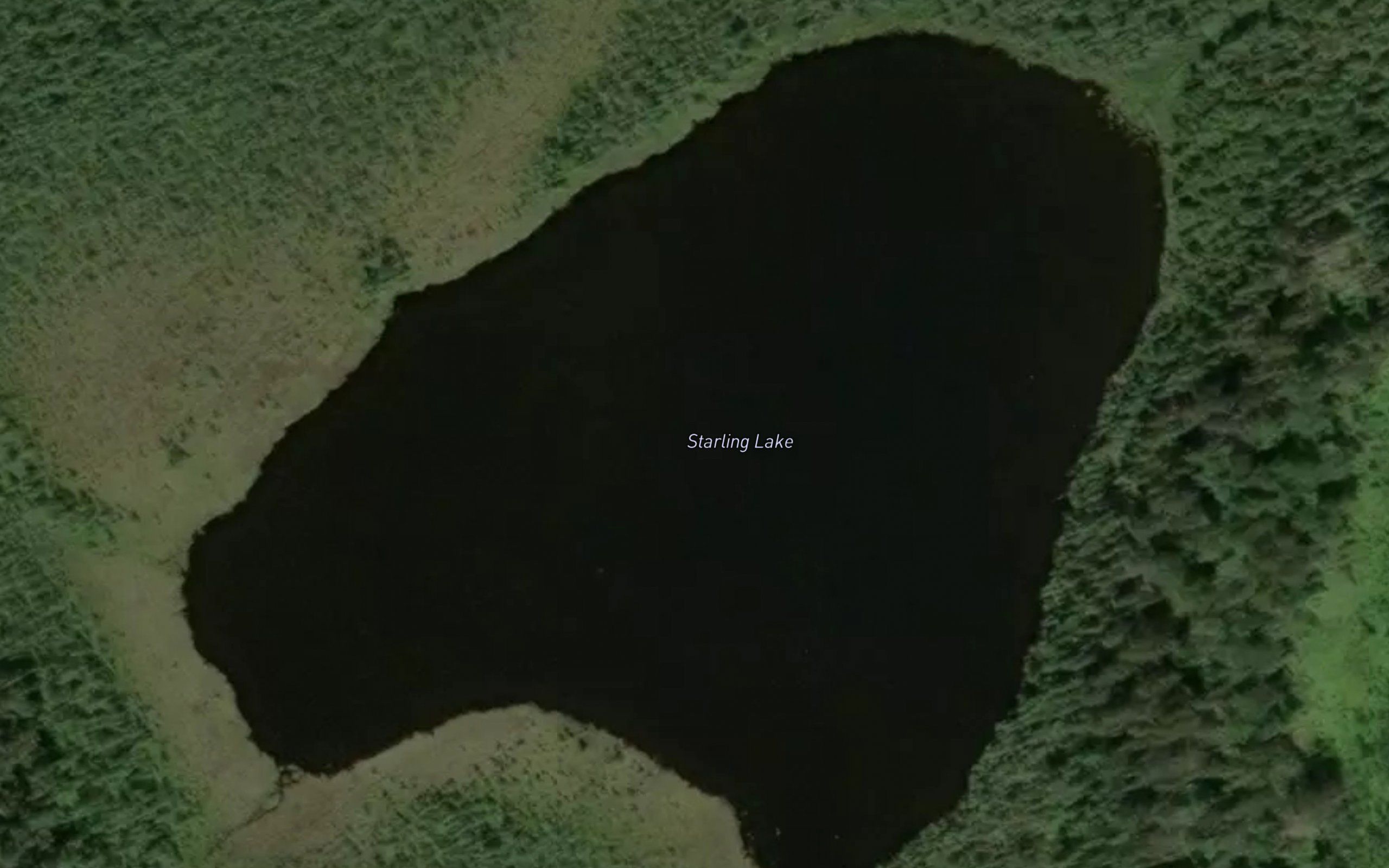 Starling Lake