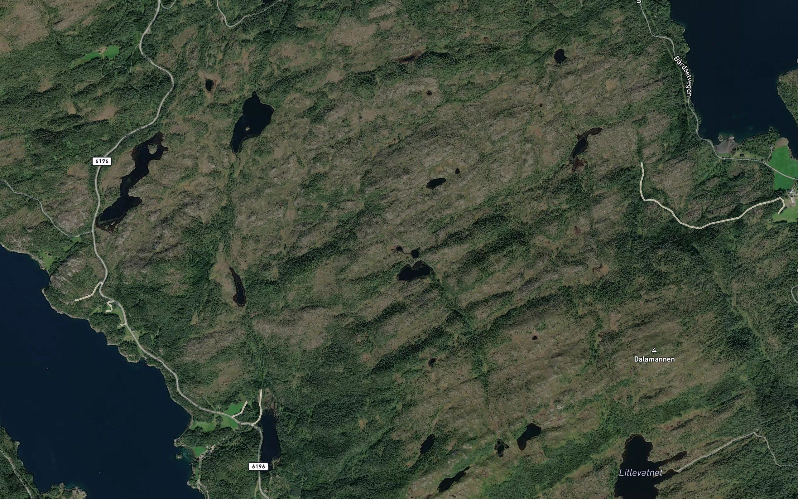Dyrtjonna