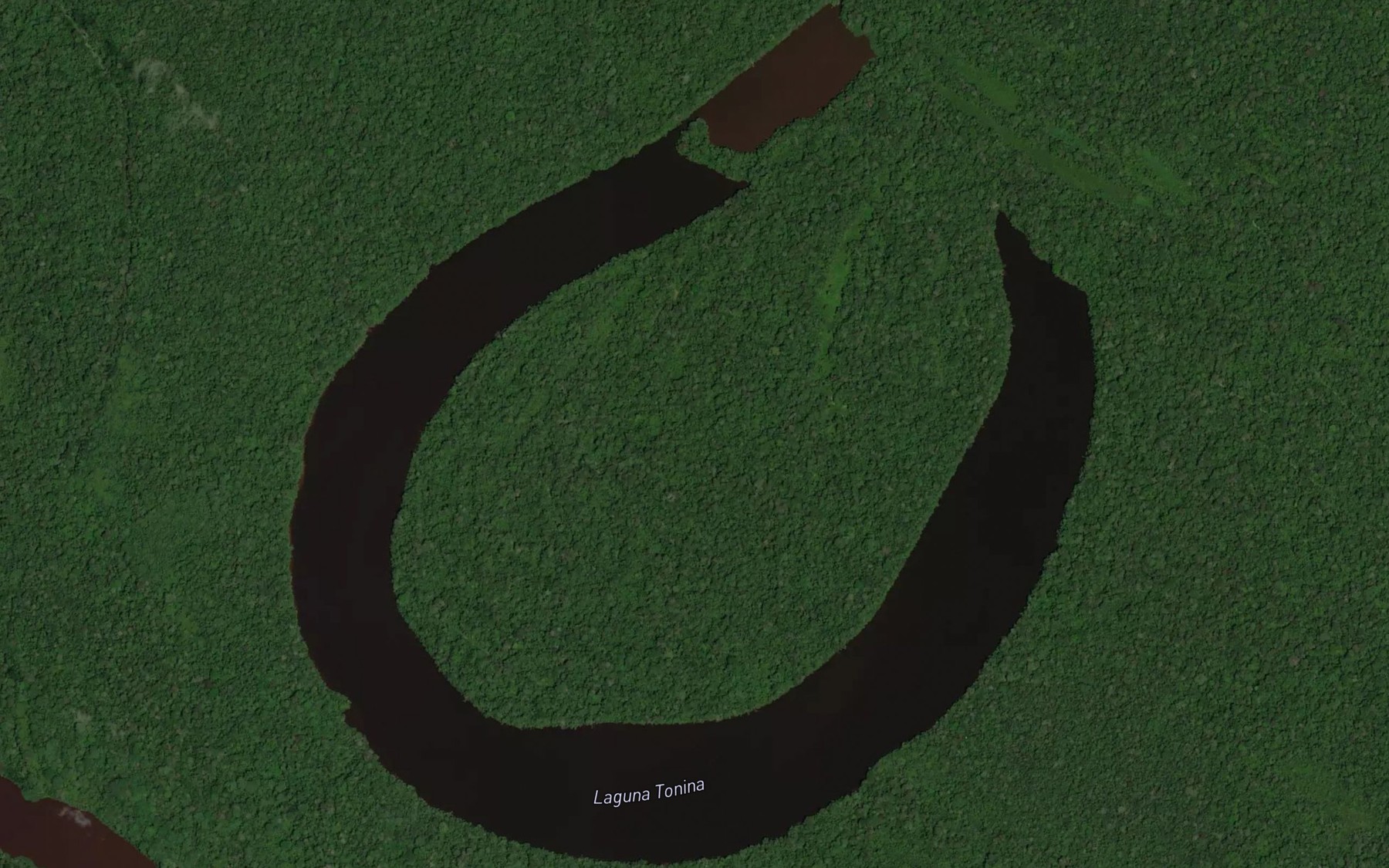 Satellite map of the Laguna Tonina