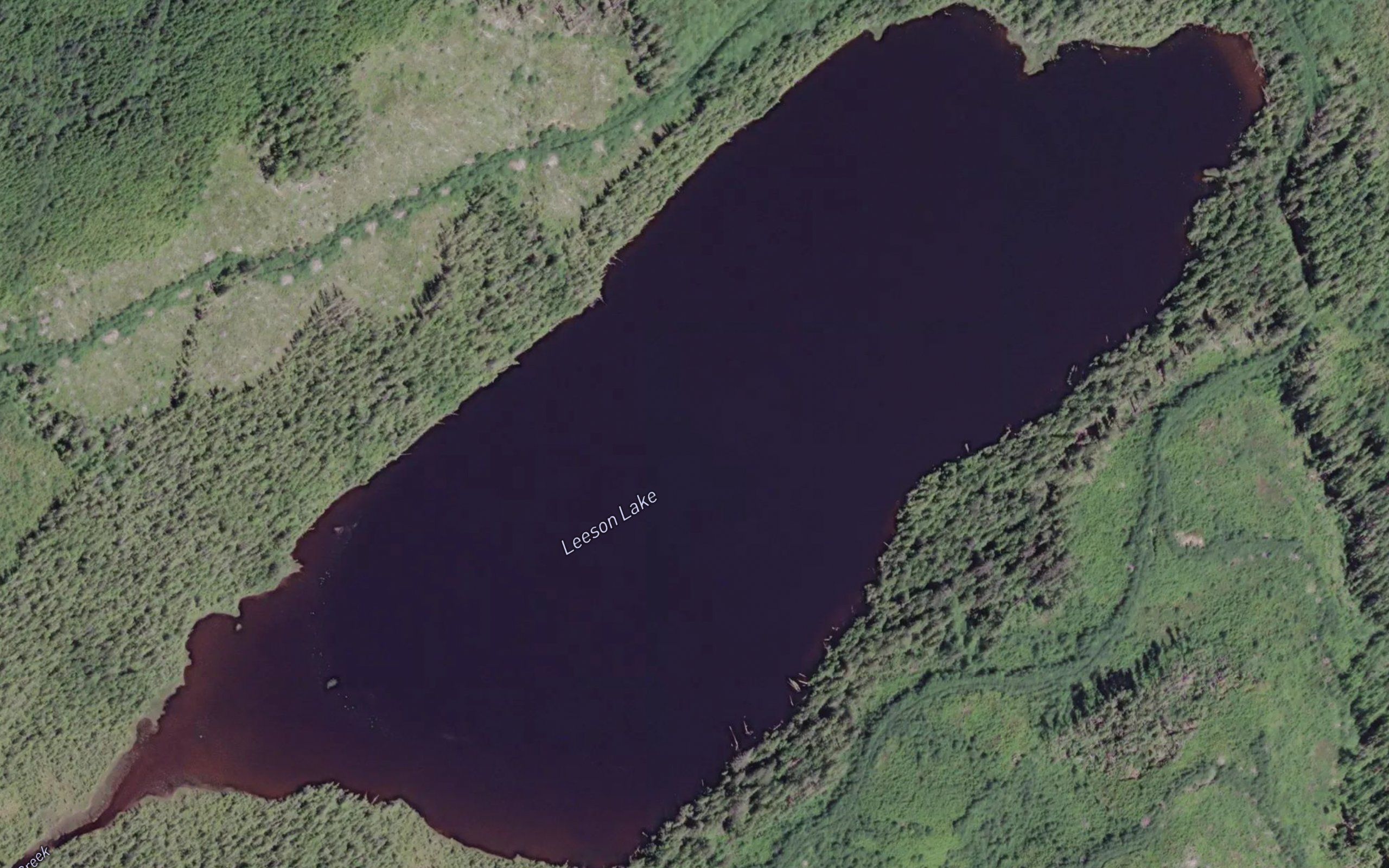 Leeson Lake