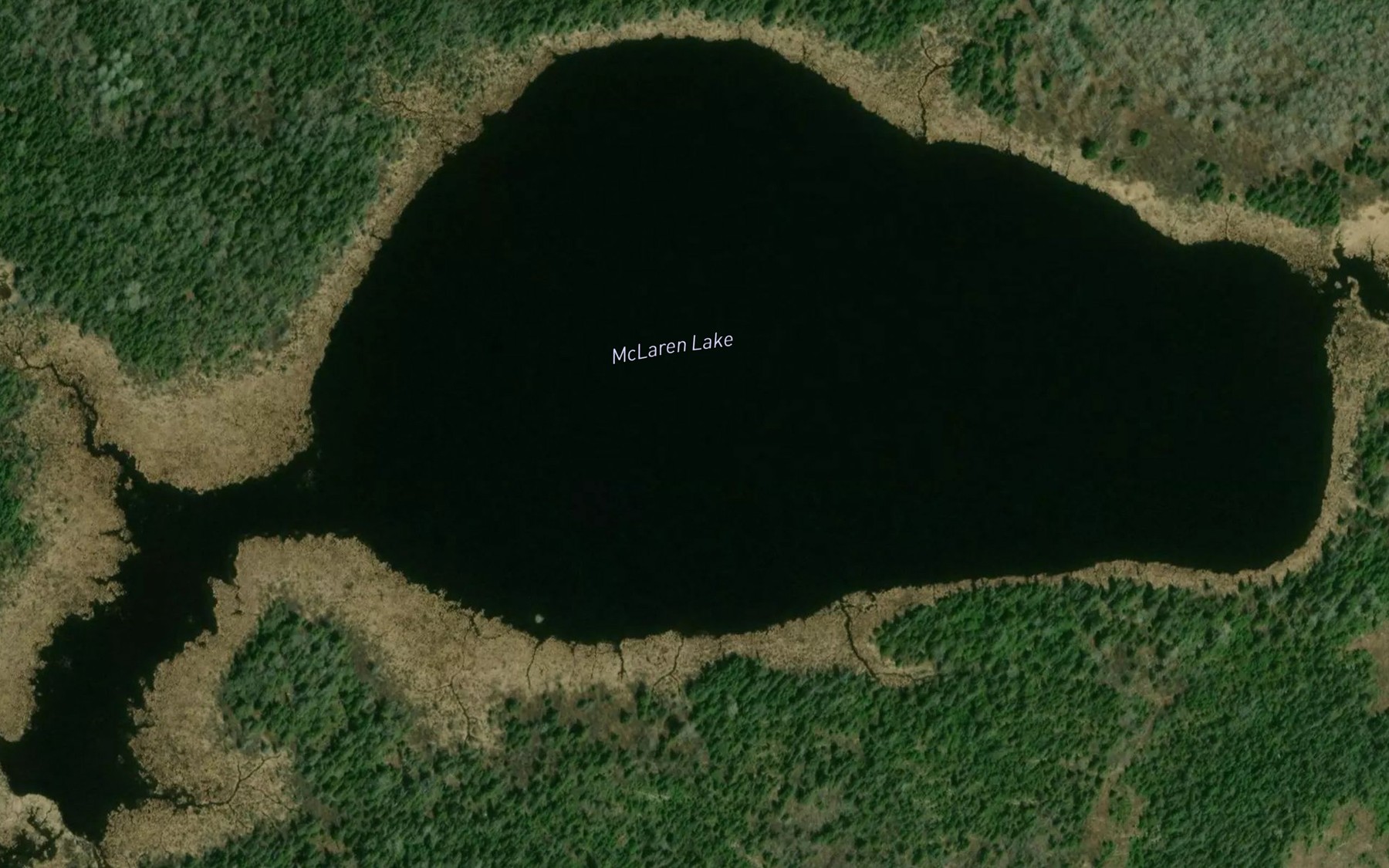Satellite map of the McLaren Lake
