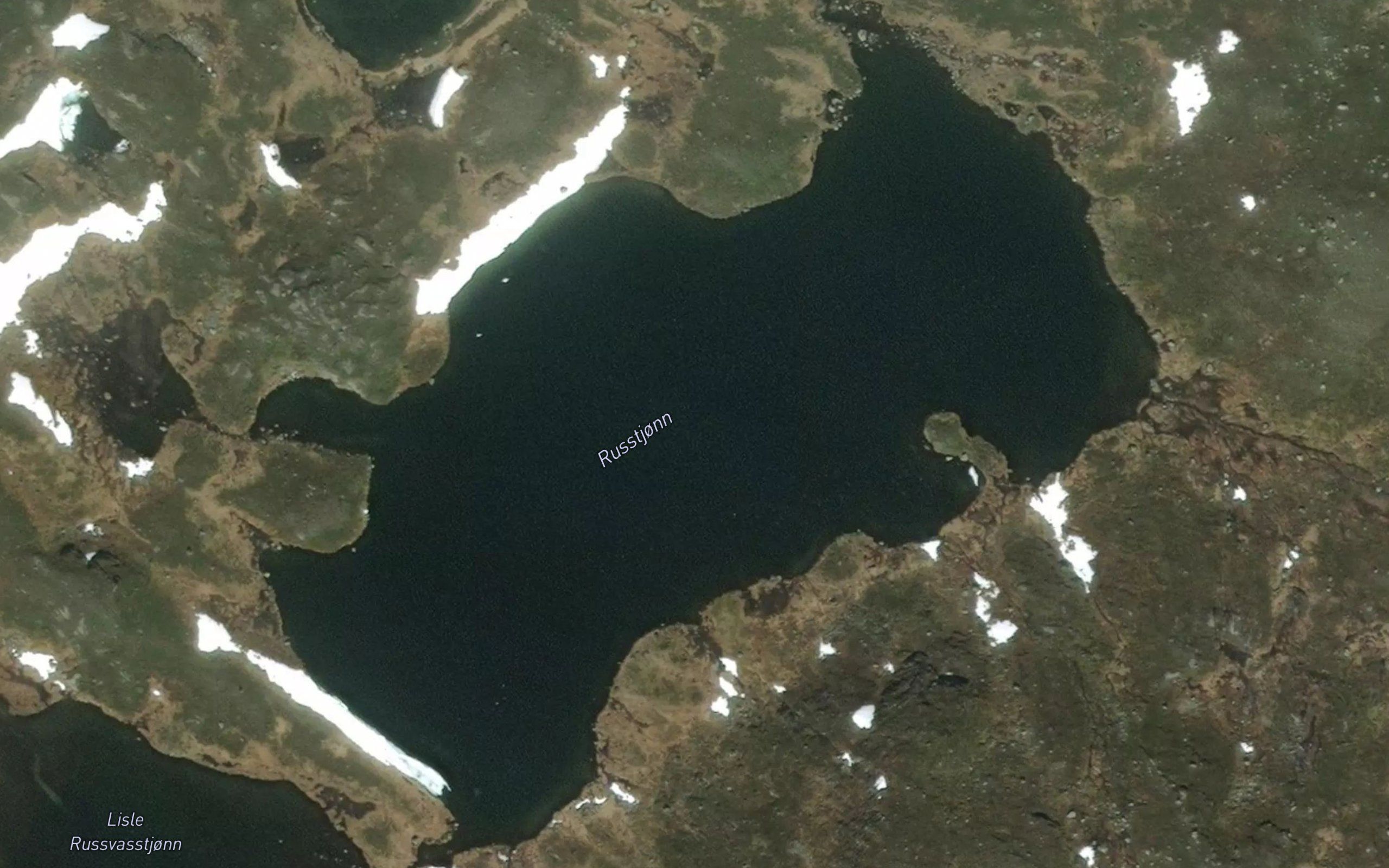 Russtjorn