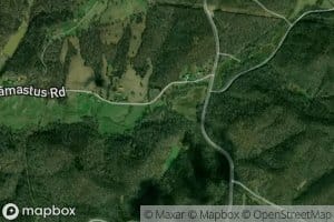 Fox Branch