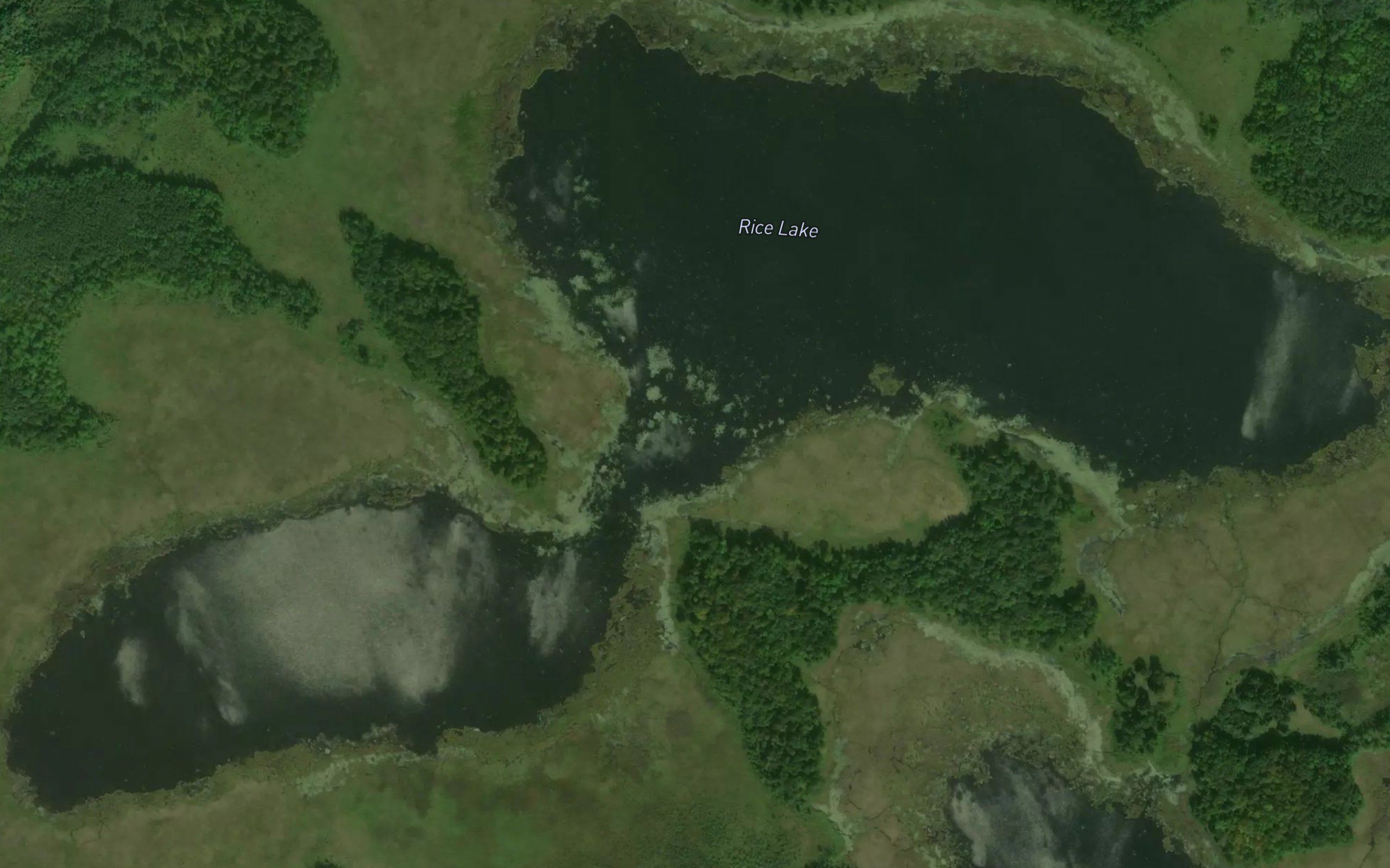 Rice Lake