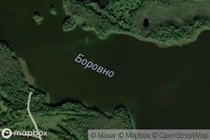 Ozero Borovno