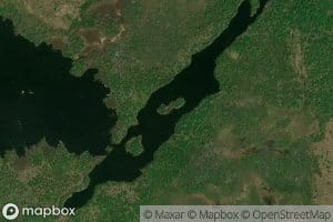 Woodland Meadow Brook