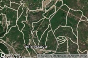 Ribeiro das Sanguessugas