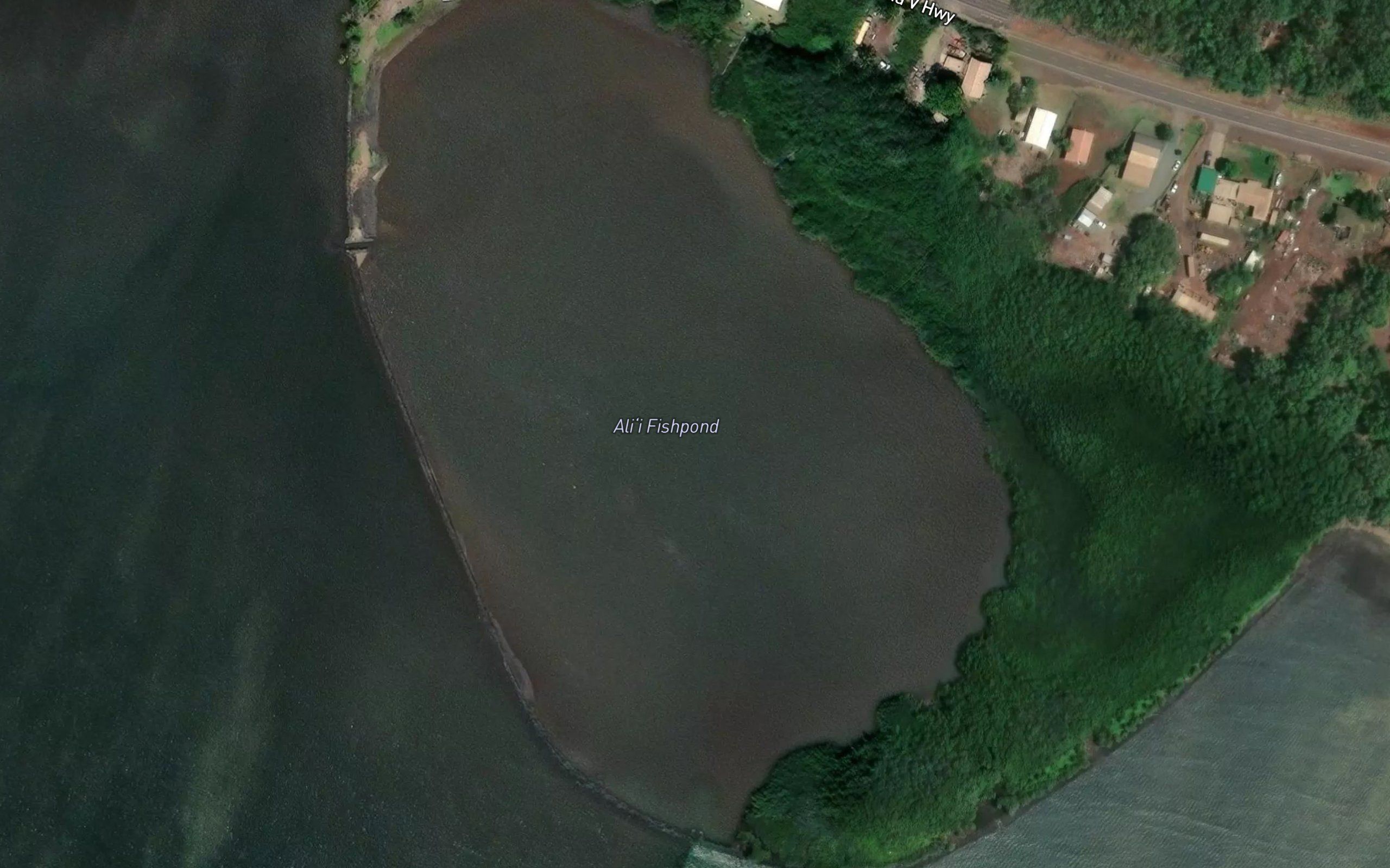 Ali'i Fishpond