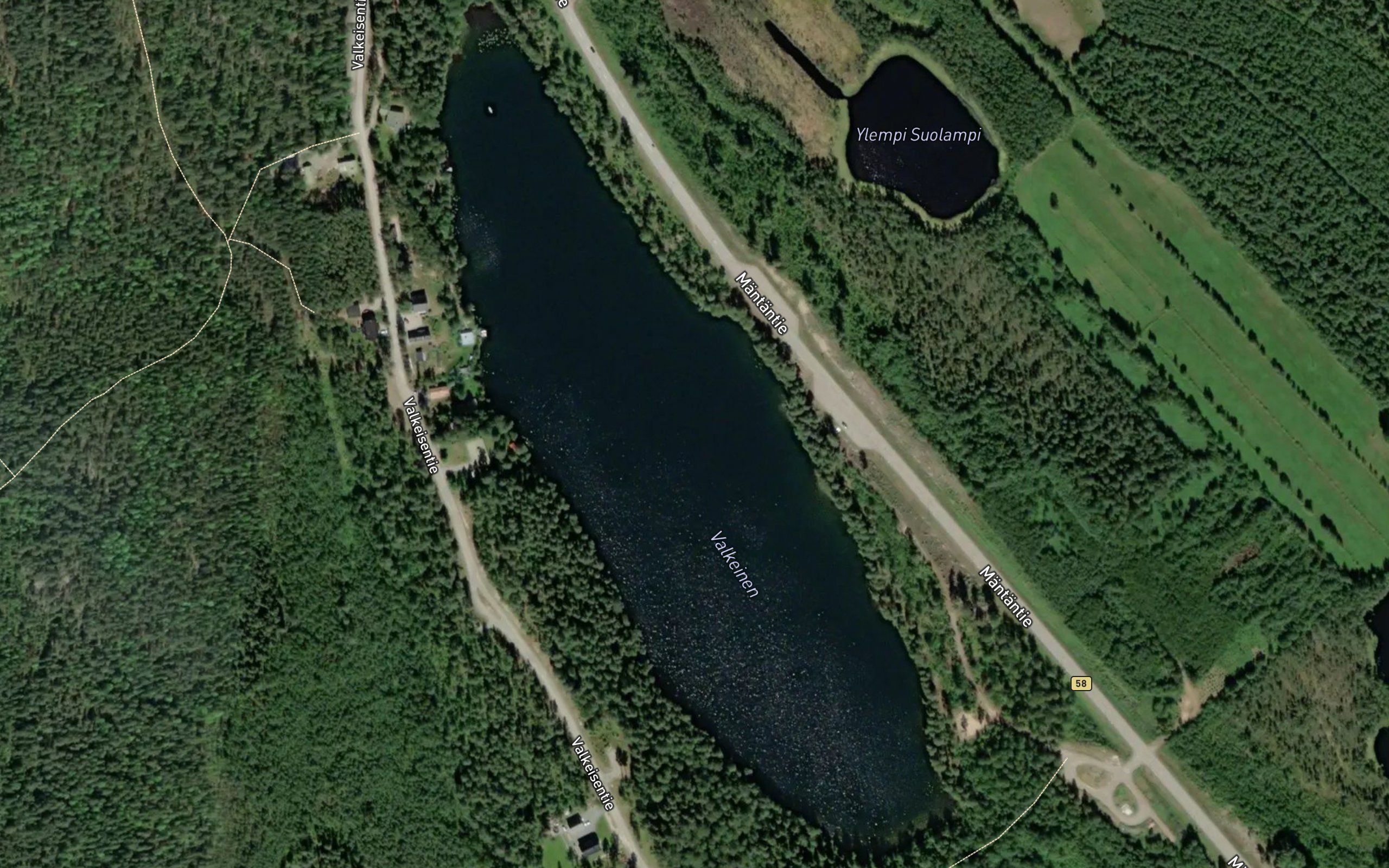 Valkeinen