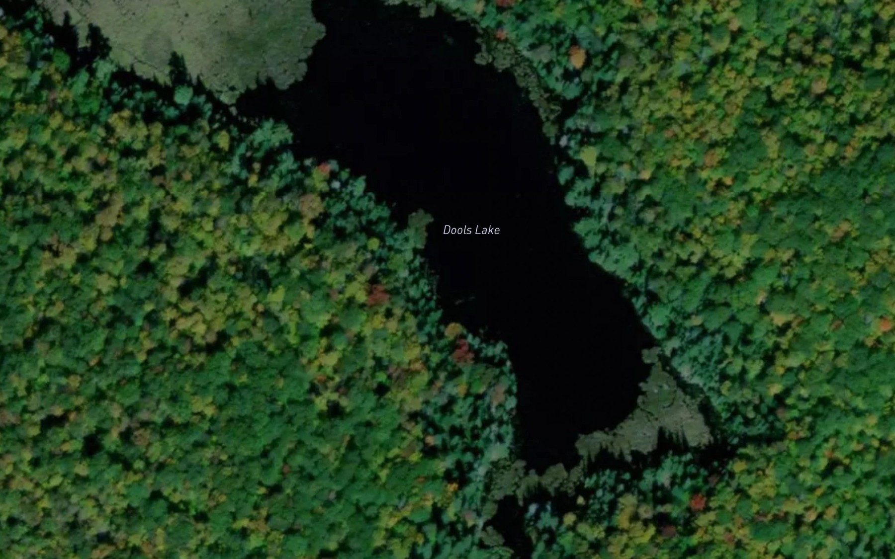 Satellite map of the Dools Lake