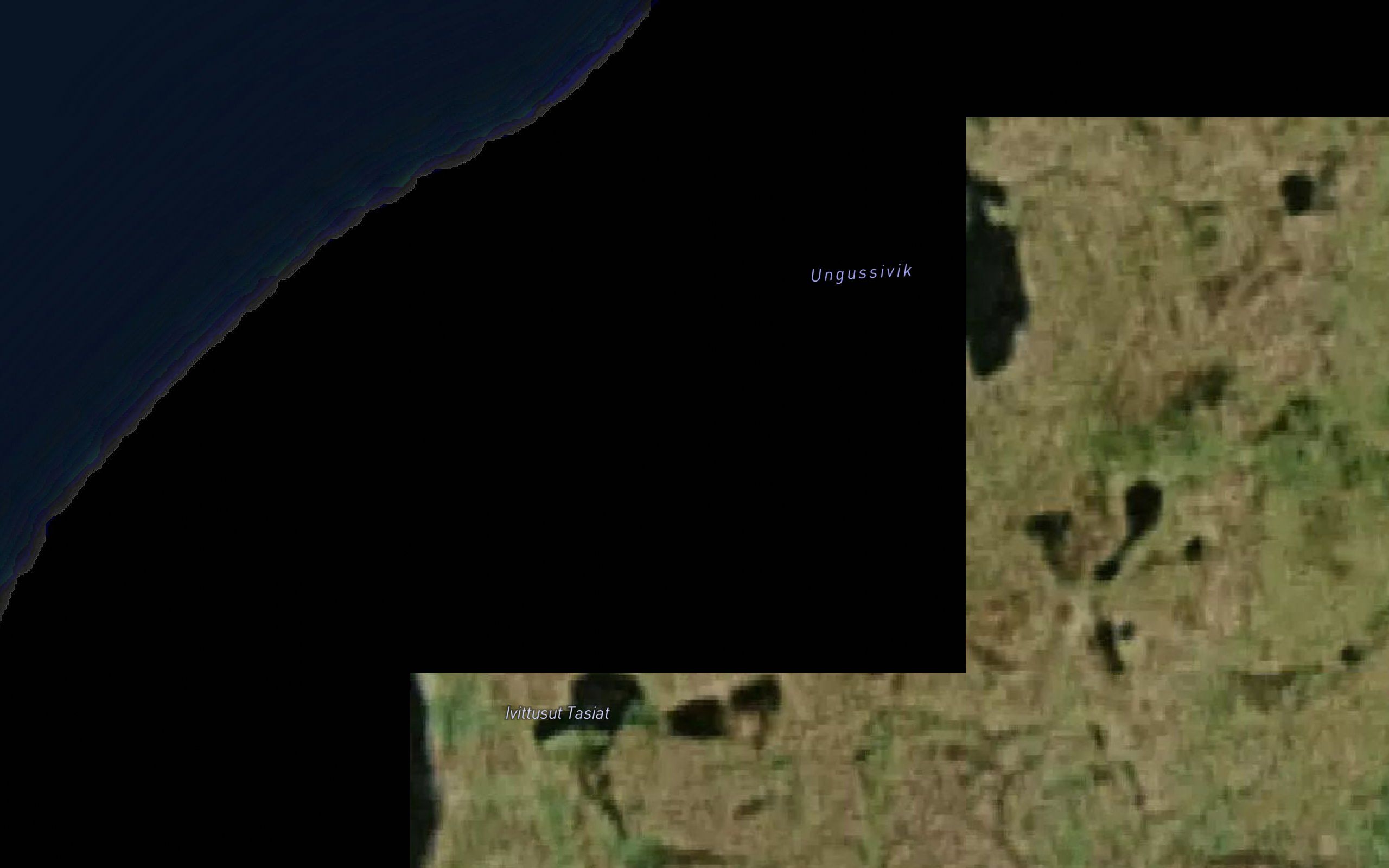 Ungusivik