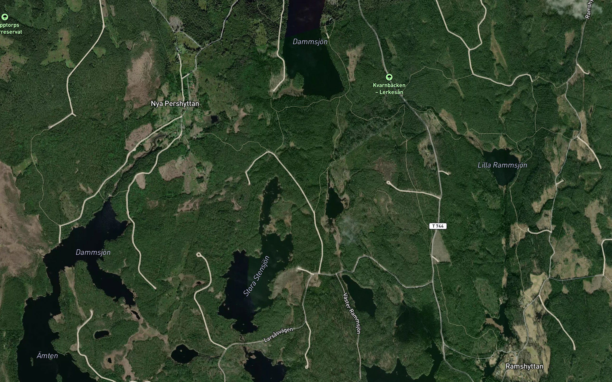 Igeltjarn