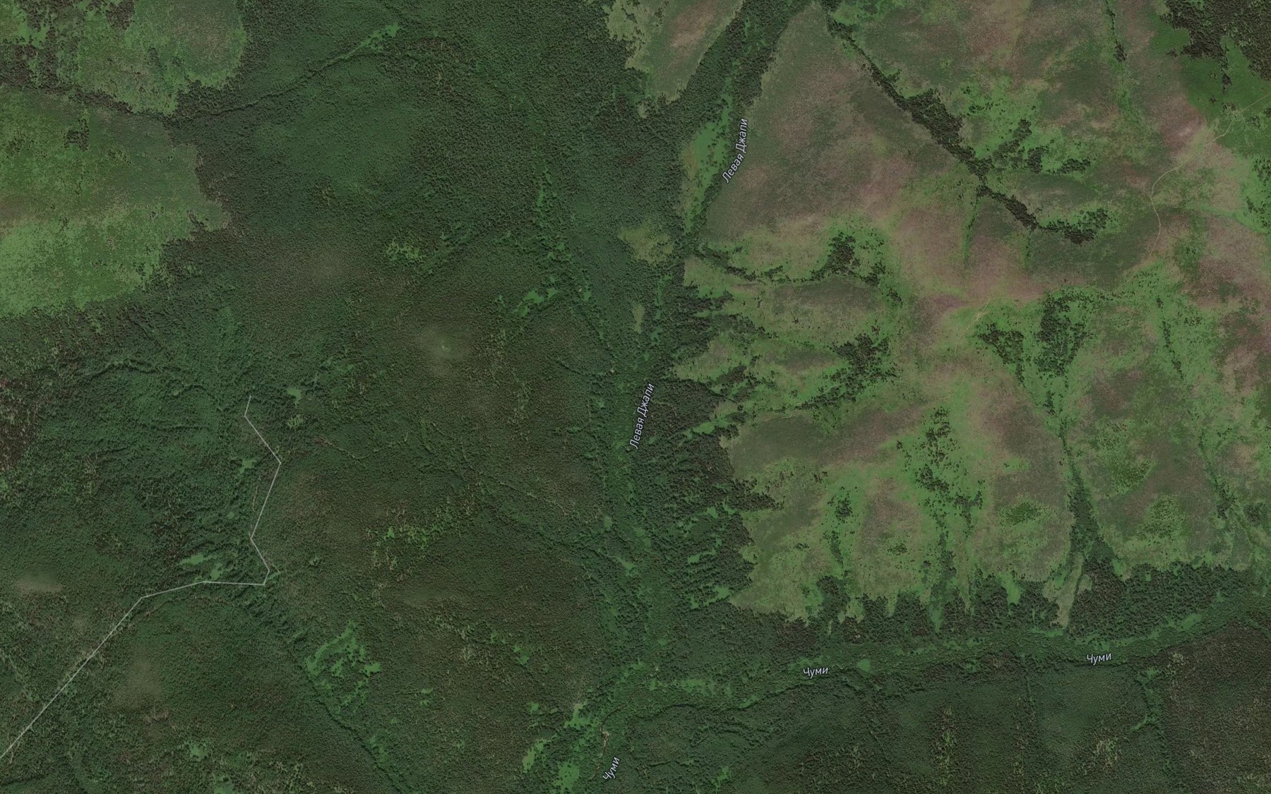 Satellite map of the Balgiginzha