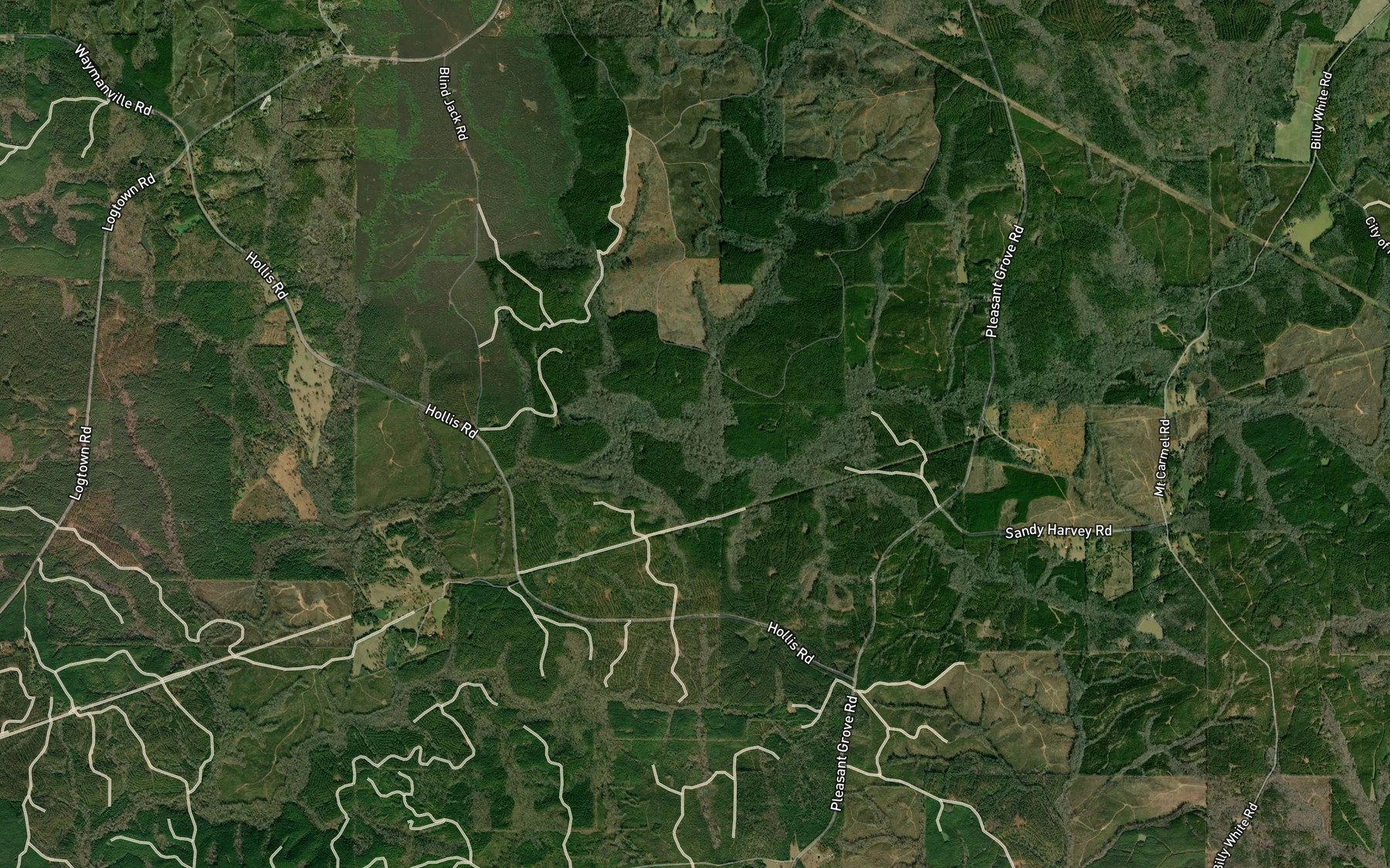 Satellite map of the Little Branch
