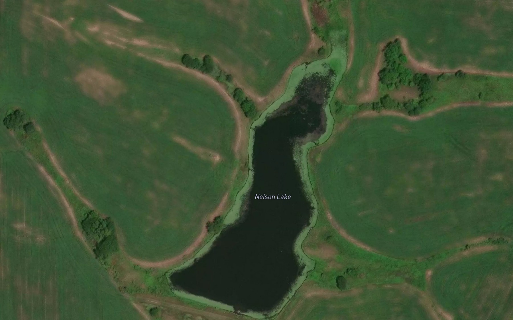 Satellite map of the Nelson Lake