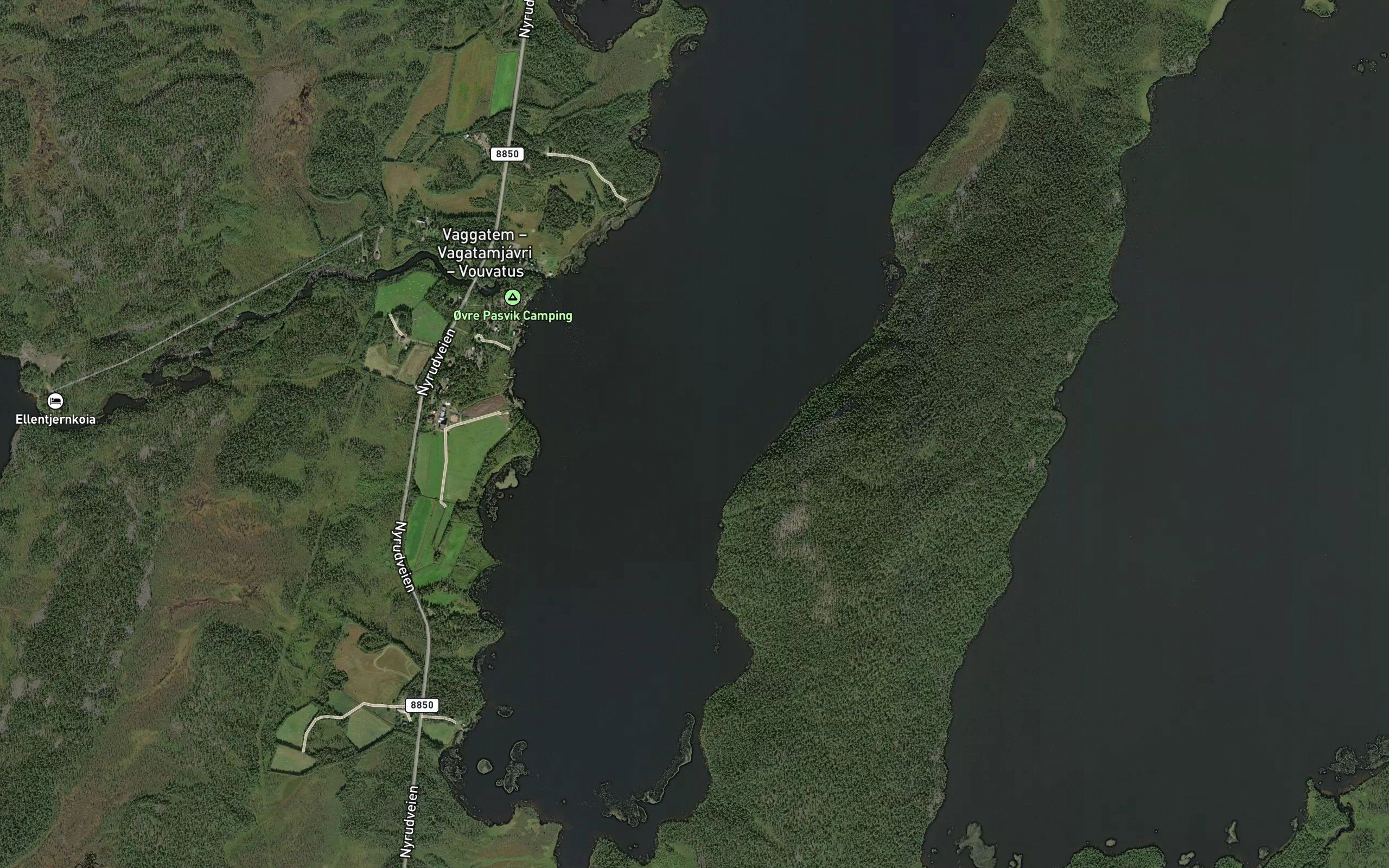 Tjaerebukta