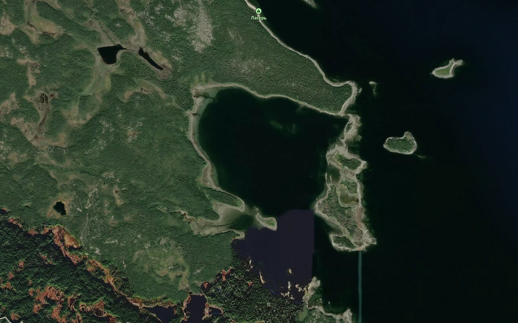 Satellite map of the Guba Nishchenskaya