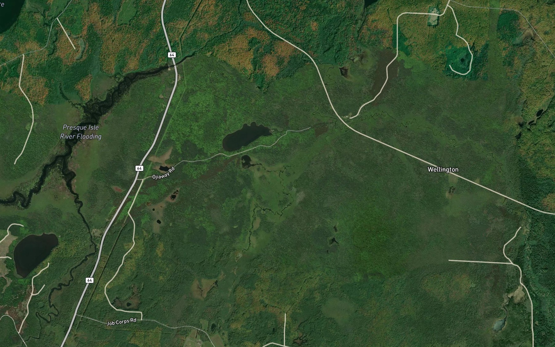 Satellite map of the Wellington Creek
