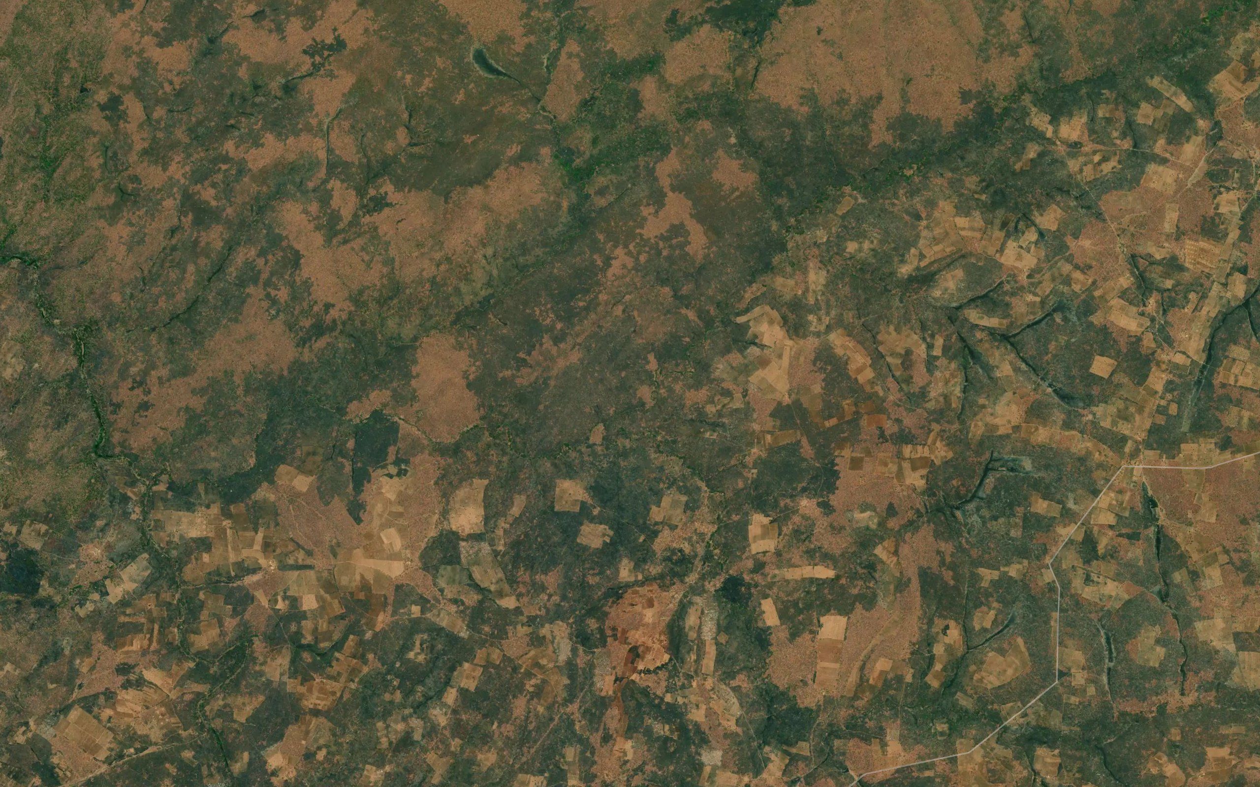 Chenje