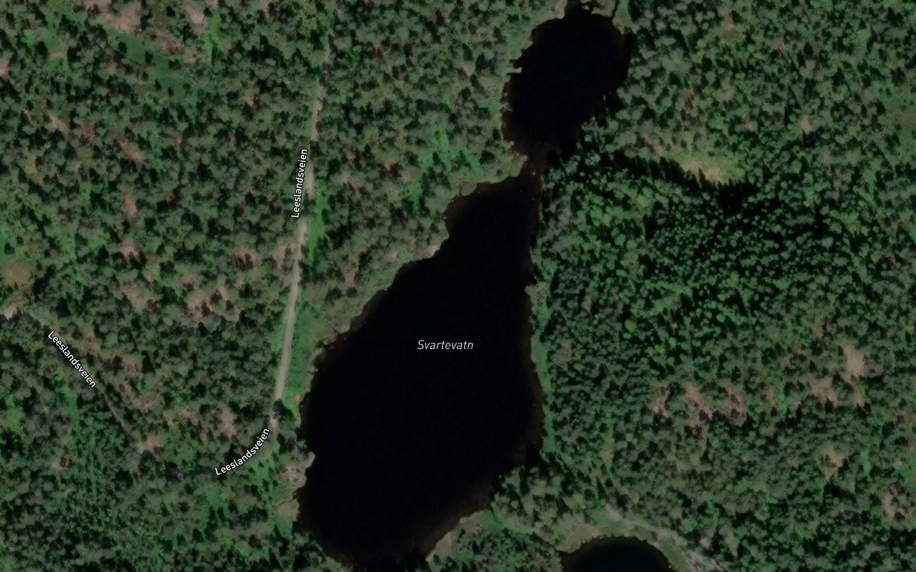 Satellite map of the Svartevatn