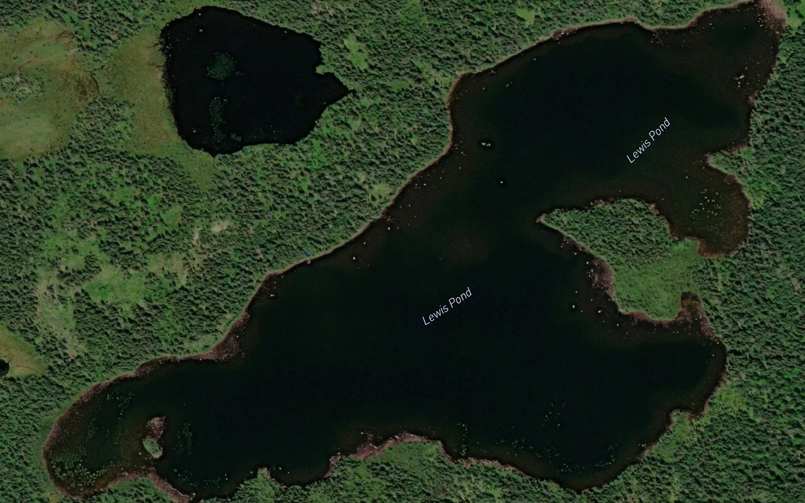 Lewis Pond