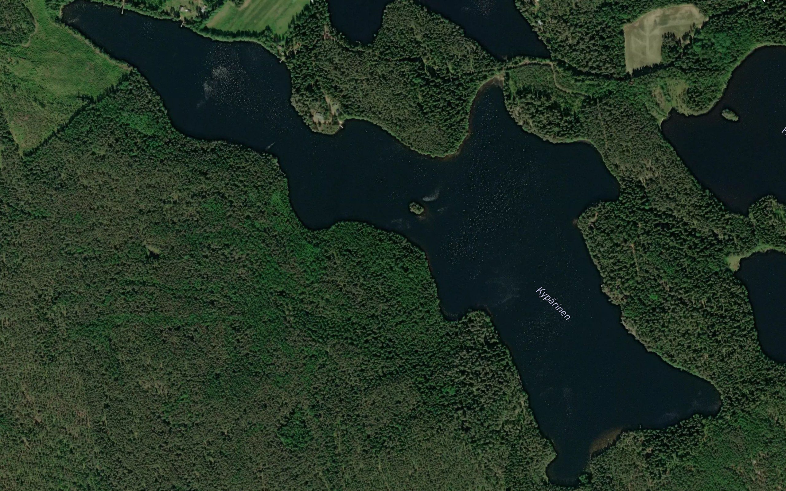 Kyparinen