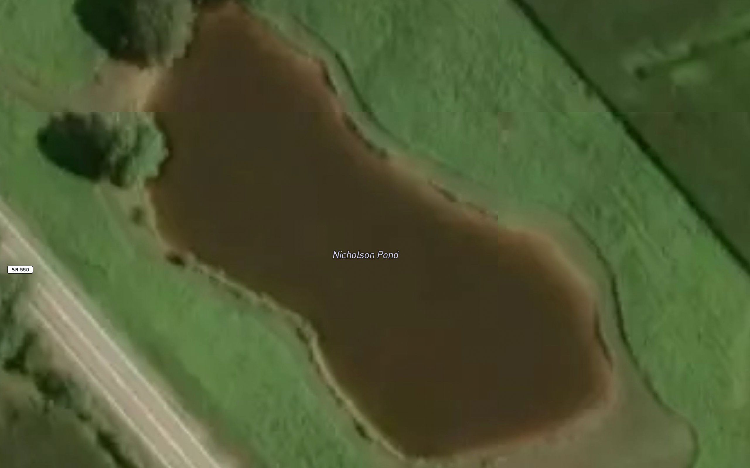 Nicholson Pond